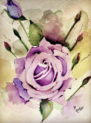 Lavender Rose Dream