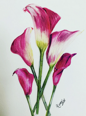 Magenta Calla Cluster